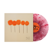 L.S. DUNES 'PAST LIVES' (Bloodshot Translucent Vinyl)