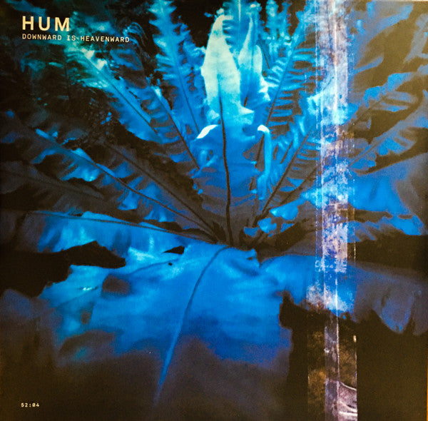 HUM 'DOWNWARD IS HEAVENWARD' 2LP - REISSUE
