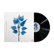 MATT BERNINGER 'GET SUNK' LP