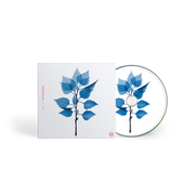 THE NATIONAL 'GET SUNK' CD