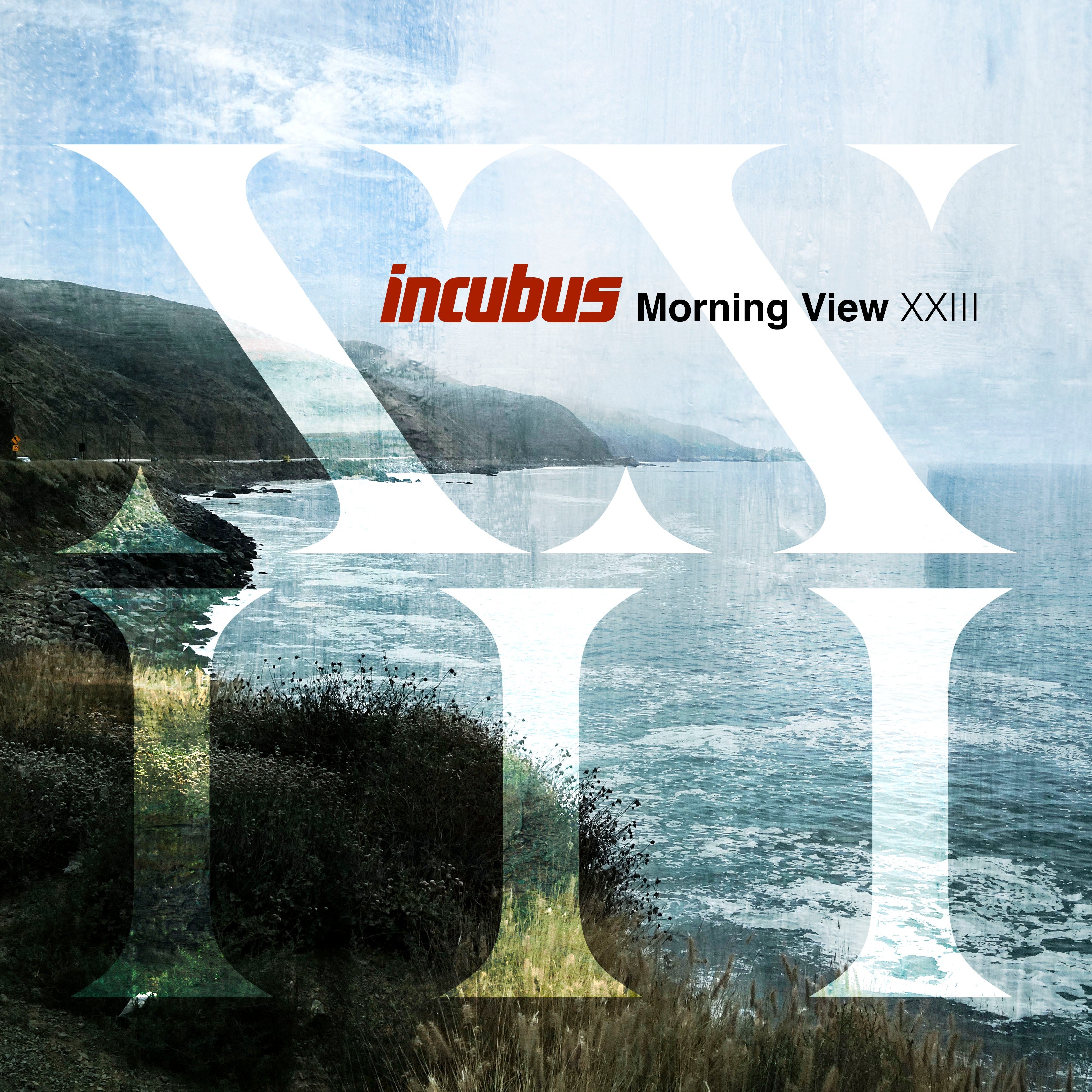 INCUBUS 'MORNING VIEW XXIII' 2LP - Violet