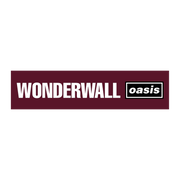 "WONDERWALL" MAGNETIC GRILL