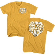 PINK FLOYD - SHINE ON SHIRT