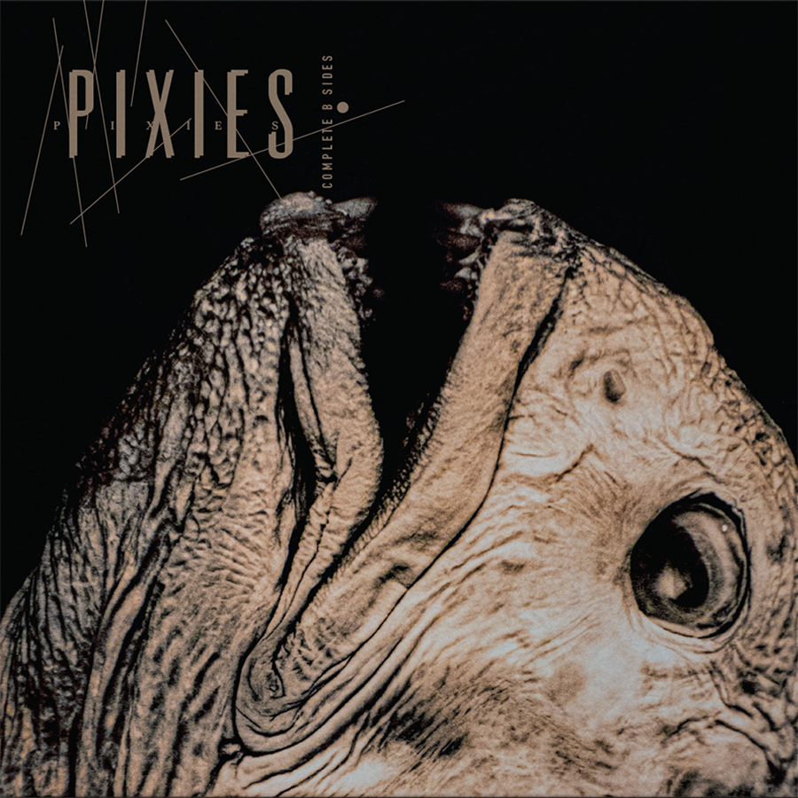 PIXIES ‘COMPLETE B SIDES: 1988-97’ 2LP - BLACK