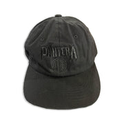 PANTERA DAD HAT