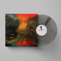 SHARON VAN ETTEN 'WE'VE BEEN GOING ABOUT THIS ALL WRONG' LP - MARBLED/SMOKE