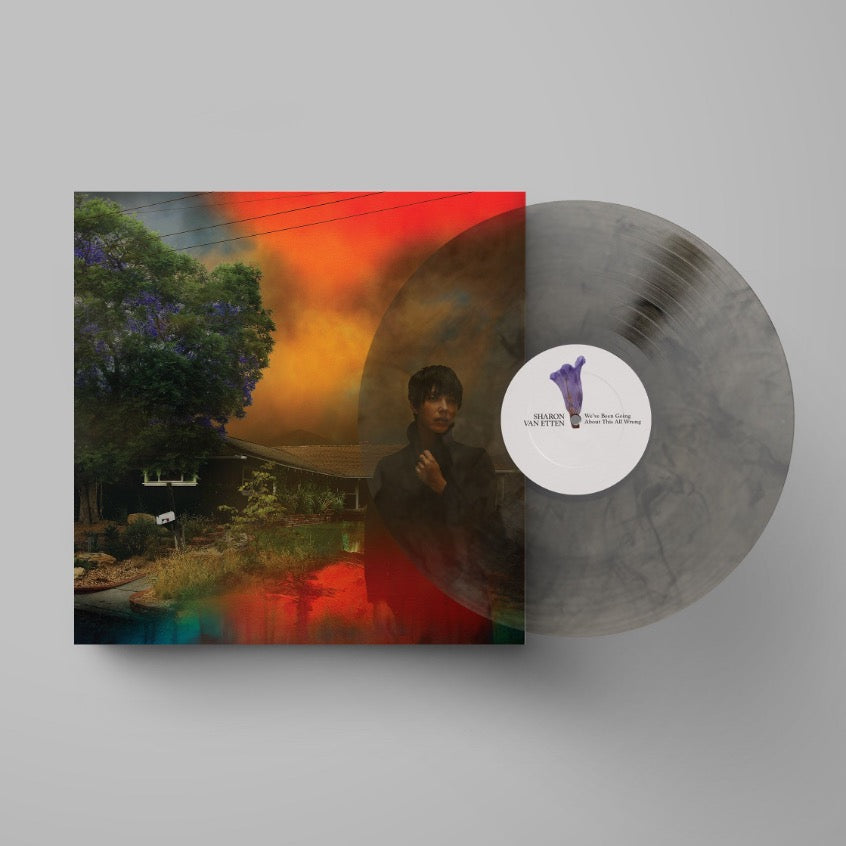 SHARON VAN ETTEN 'WE'VE BEEN GOING ABOUT THIS ALL WRONG' LP - MARBLED/SMOKE