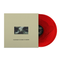 CITIZEN'EVERYBODY IS GOING TO HEAVEN' 10TH ANNIVERSARY 2LP (Limited Edition â€“ Only 250 Made, Bloodshot Red Vinyl)