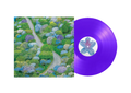 FIDDLEHEAD 'BETWEEN THE RICHNESS' LP (Violet Vinyl)