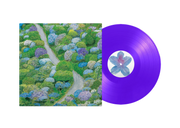 FIDDLEHEAD 'BETWEEN THE RICHNESS' LP - VIOLET