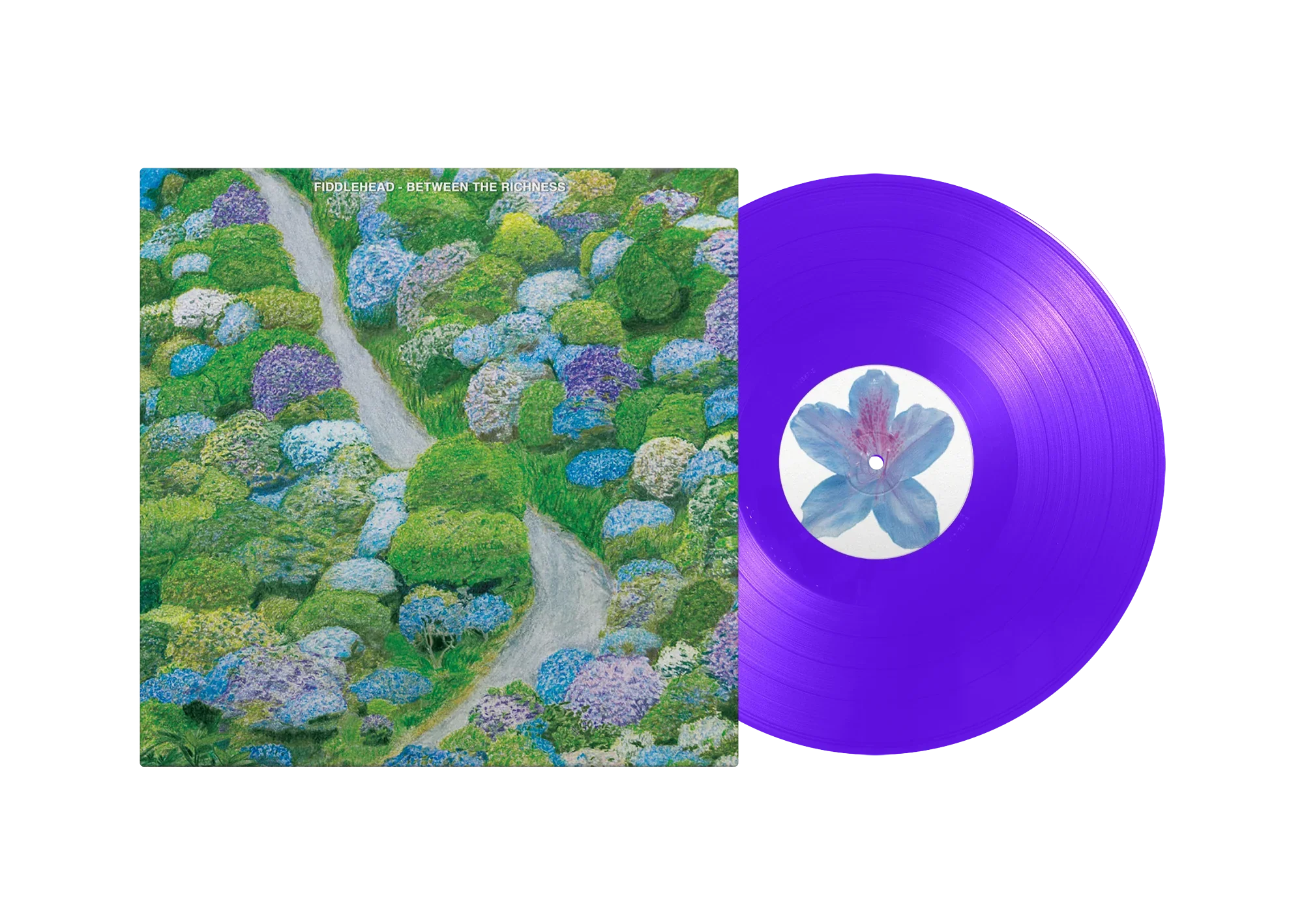 FIDDLEHEAD 'BETWEEN THE RICHNESS' LP - VIOLET