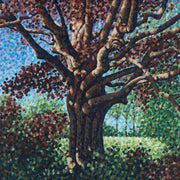ONE STEP CLOSER 'SONGS FOR THE WILLOW' LP - CLEAR