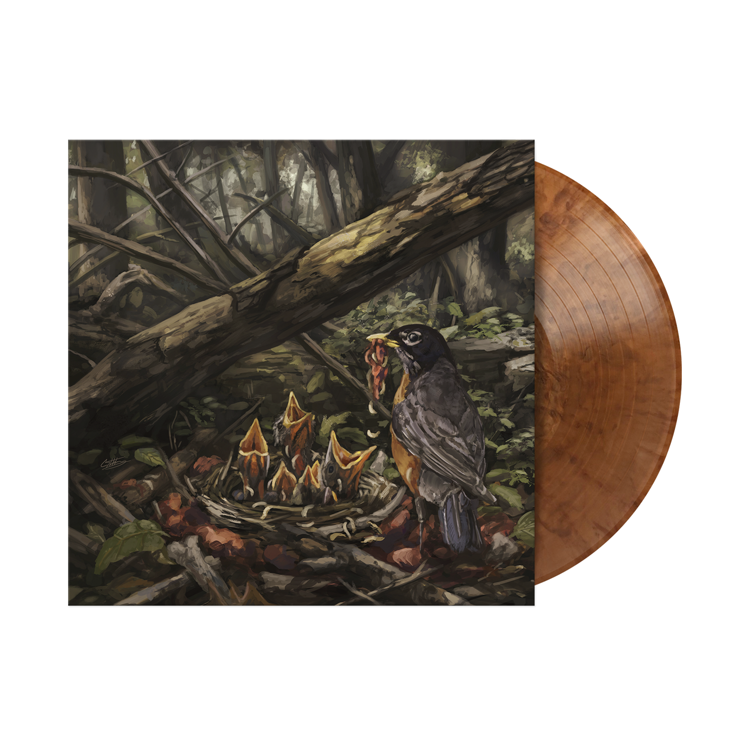 THE ACACIA STRAIN ‘STEP INTO THE LIGHT ’ LP - EXCLUSIVE - LTD. 400 - PEARLESCENT COPPER SWIRL