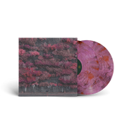 SLEEP TOKEN ‘EVEN IN ARCADIA’ 2LP - EXCLUSIVE - LTD. EDITION – GLASS OF PORT