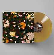 BRIGHT EYES 'NOISE FLOOR (RARITIES: 1998-2005)' 2LP - CHAMPAGNE WAVE