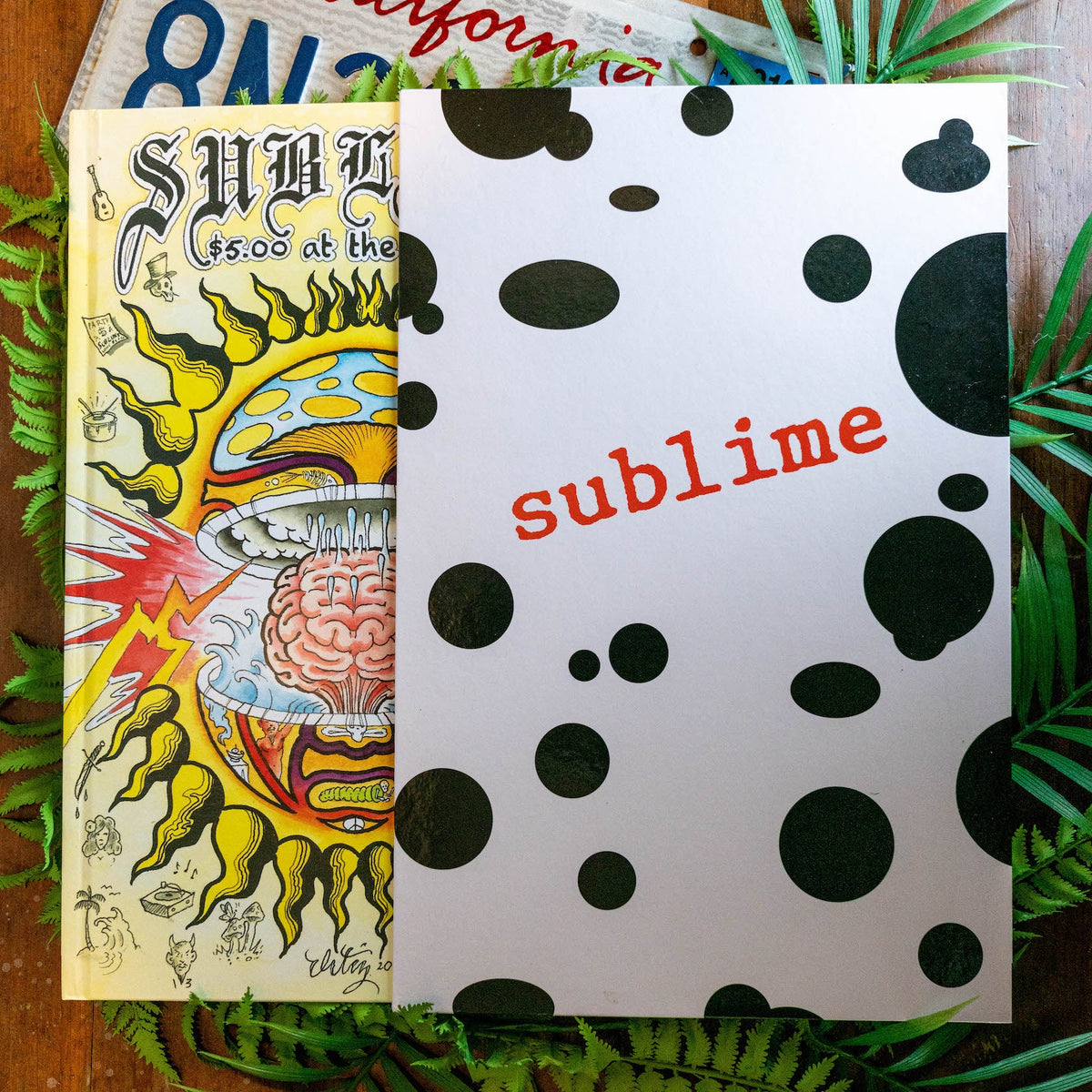 SUBLIME: $5 AT THE DOOR - DELUXE BOOK