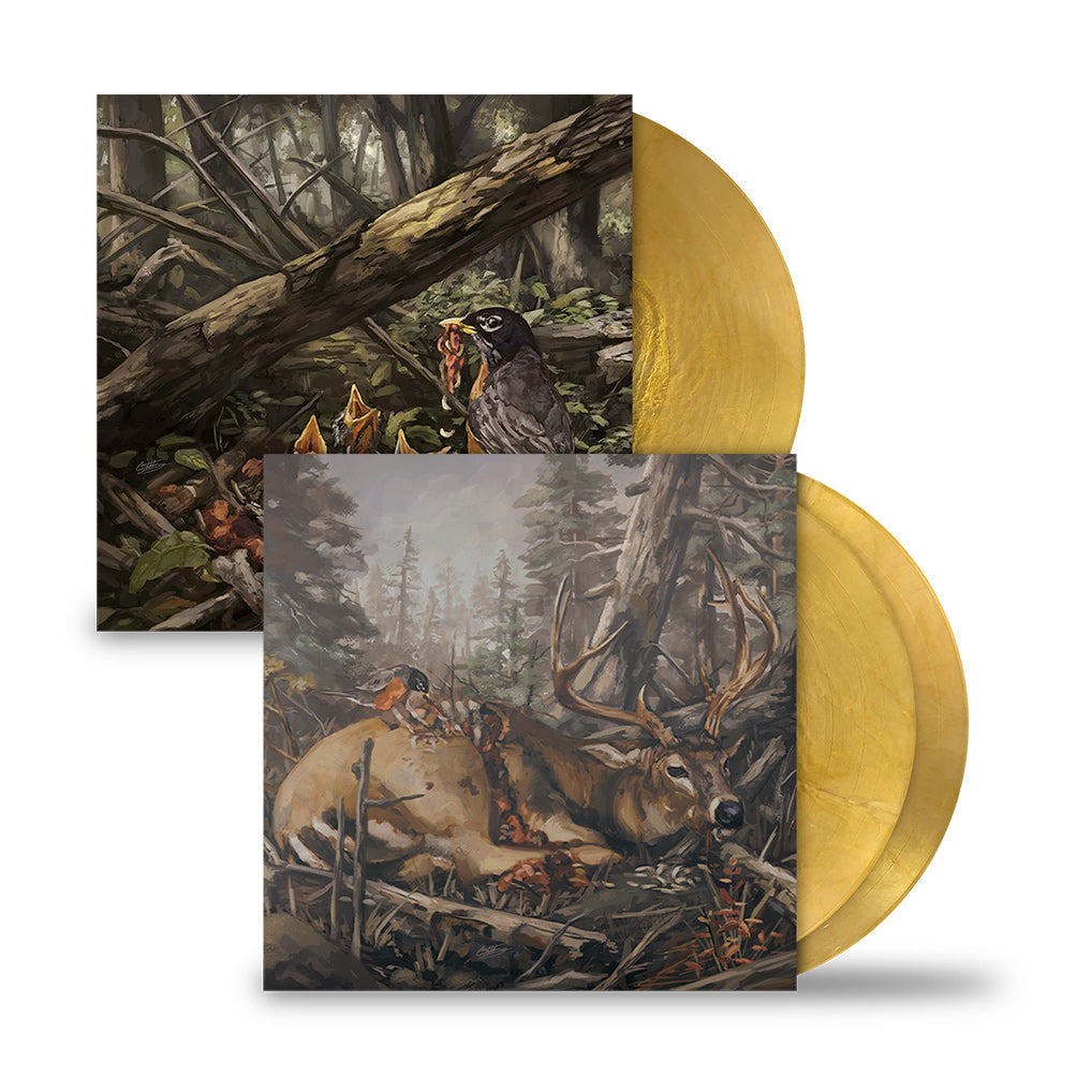 THE ACACIA STRAIN ‘STEP INTO THE LIGHT’ LP & 'FAILURE WILL FOLLOW' 2LP - EXCLUSIVE - LTD. 100 - GOLD METALLIC SWIRL