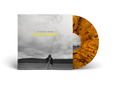 THE GASLIGHT ANTHEM ‘HISTORY BOOKS’ LP - EXCLUSIVE - LTD. 500 - TIGER'S EYE