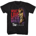 TINA TURNER - WHATS LOVE GOT TO DO WITH IT SHIRT