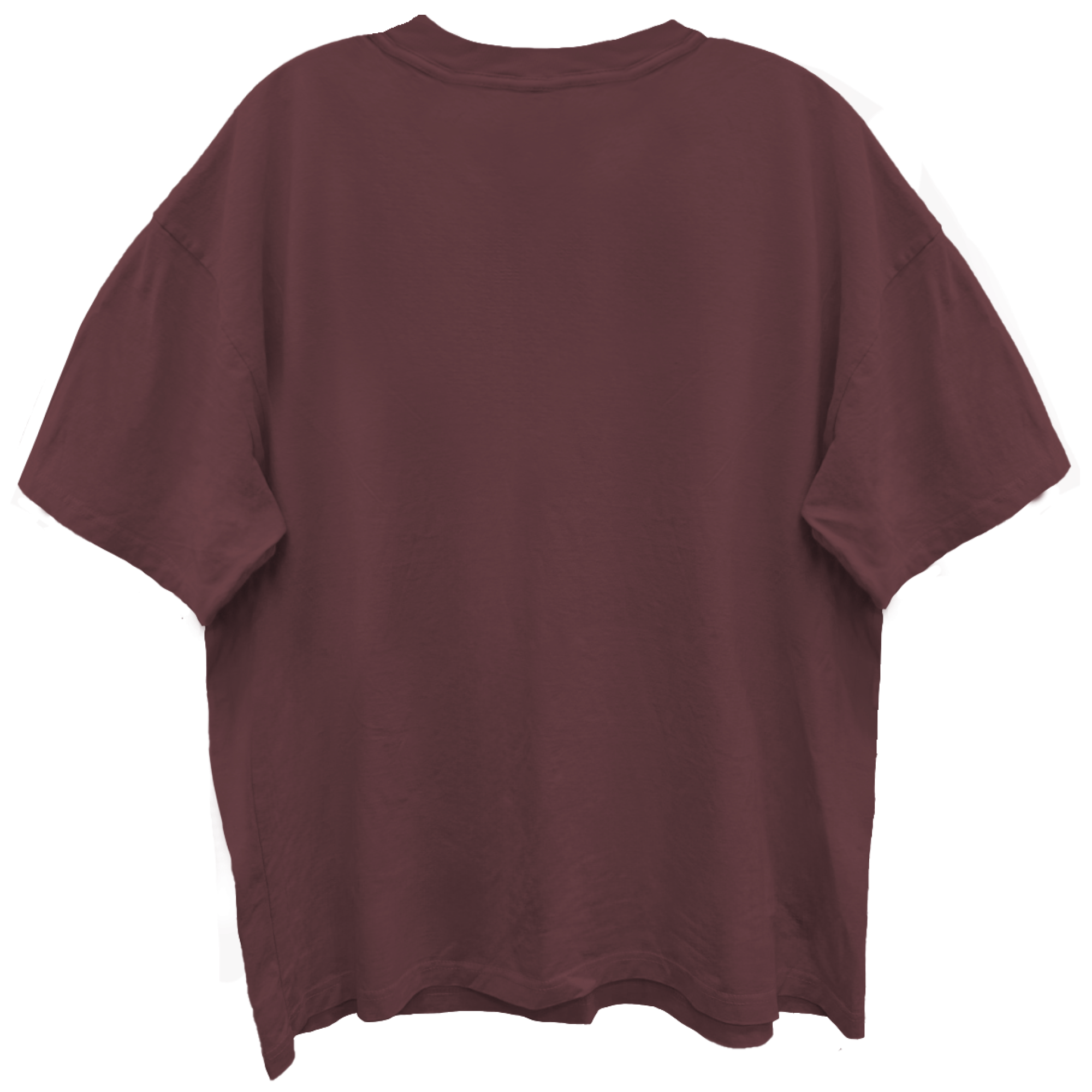 DEAD KENNEDYS HOLIDAY CAMBODIA MOHOGONY ENZYME WASH T-SHIRT/GIANT VINTAGE