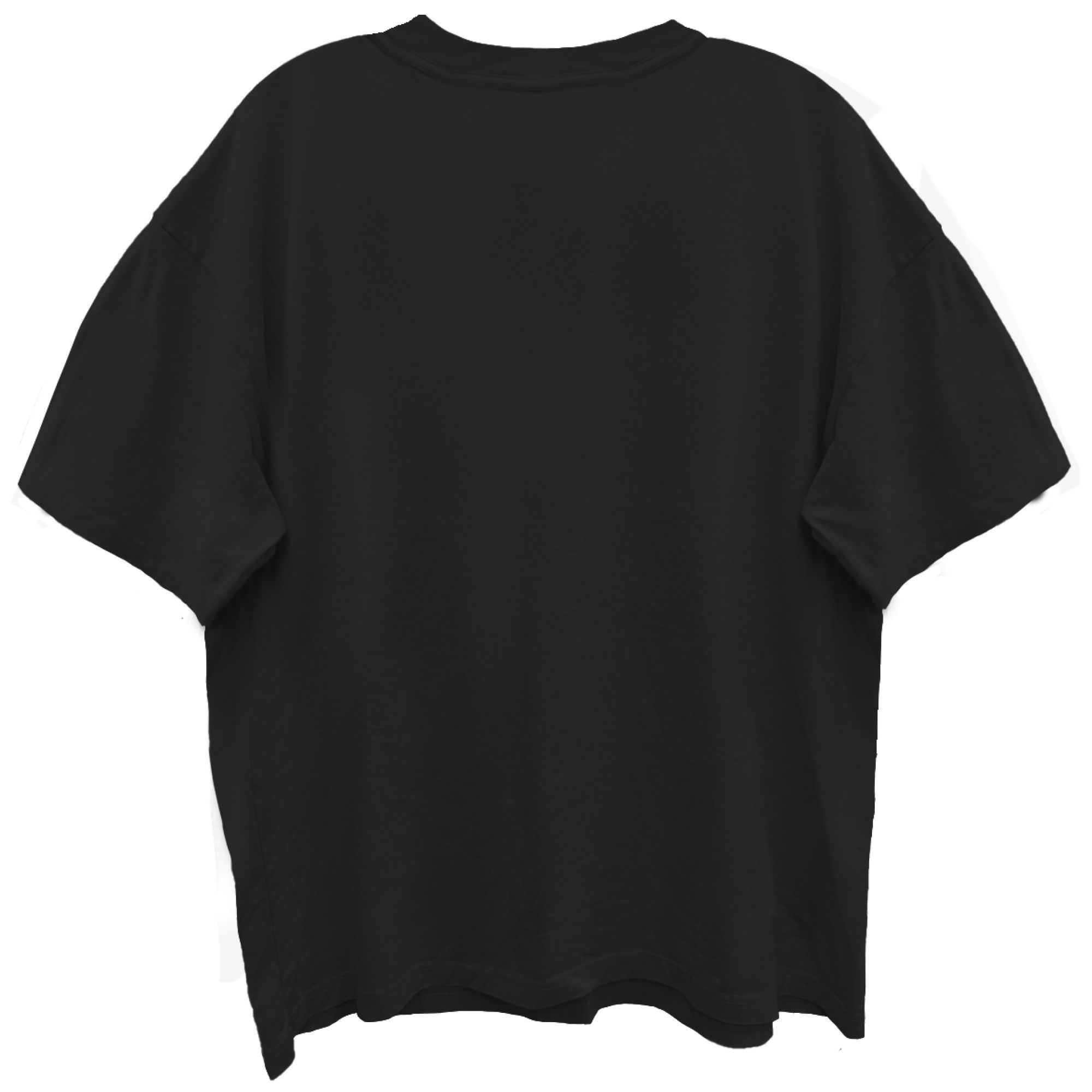 JANES ADDICTION BURNING LADY LIMO BLACK ENZYME WASH T-SHIRT/GIANT VINTAGE