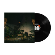 THE PLOT IN YOU ‘THE PLOT IN YOU' LP