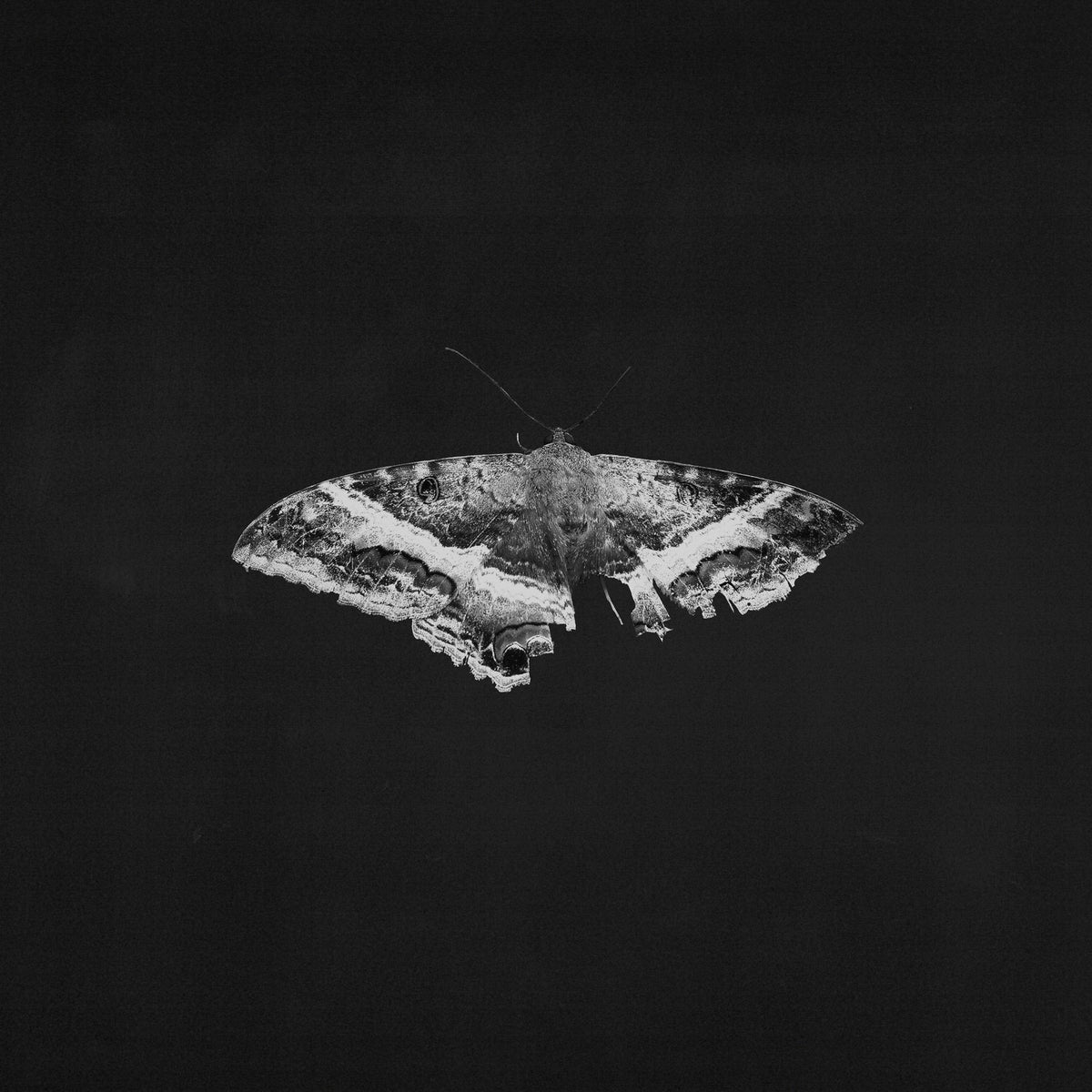 KENDRICK LAMAR 'TO PIMP A BUTTERFLY' 10TH ANNIVERSARY EDITION 2LP - ALTERNATE ARTWORK
