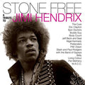 JIMI HENDRIX 'STONE FREE: JIMI HENDRIX TRIBUTE' LP CLEAR/BLACK