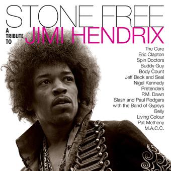 JIMI HENDRIX 'STONE FREE: JIMI HENDRIX TRIBUTE' LP CLEAR/BLACK
