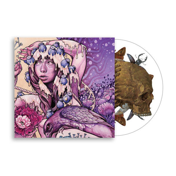 BARONESS 'TRY TO DISAPPEAR' 12" EP - PICTURE DISK