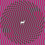 DEERHUNTER 'CRYPTOGRAMS' 2LP - FLUORESCENT GREY