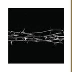 AMENRA ‘DE DOORN’ 2LP - LTD. - TRANSLUCENT GOLD