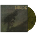 WARNING 'WATCHING FROM A DISTANCE' 20TH ANNIVERSARY 2LP - LABRADORITE MARBLE