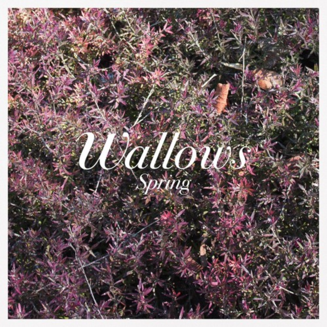 WALLOWS 'SPRING' LP - PINK/GREEN