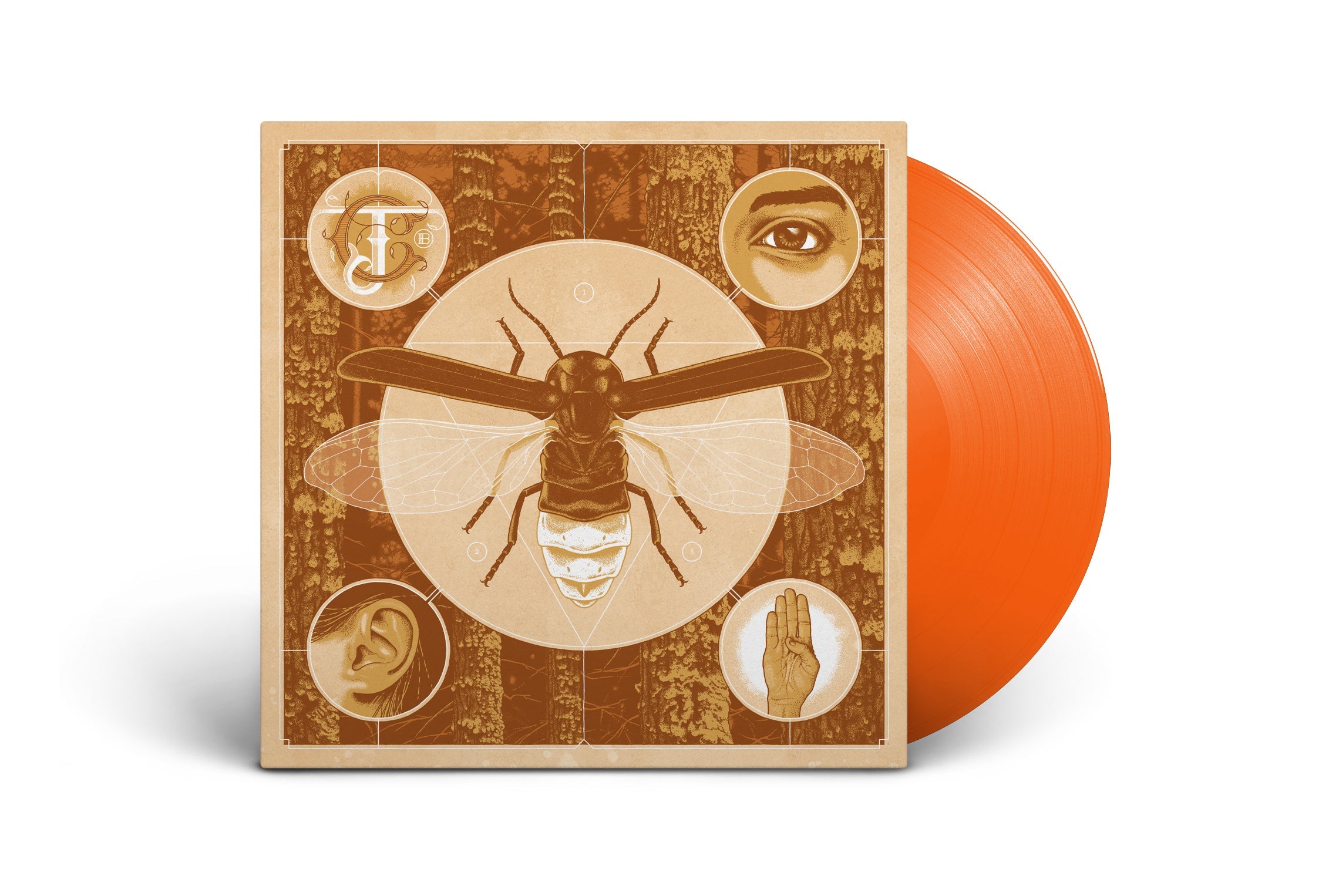 JERRY CANTRELL ‘BRIGHTEN’ LP - LTD. 500 - HALLOWEEN ORANGE