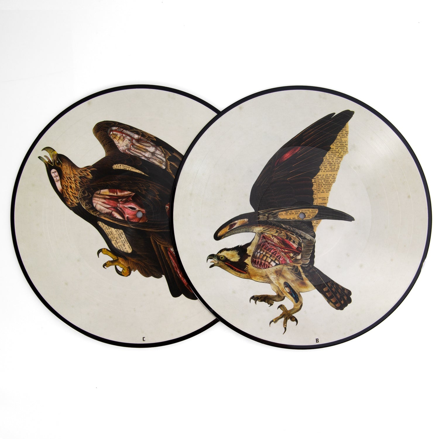 CLUTCH 'BOOK OF BAD DECISIONS' 2LP - PICTURE DISC