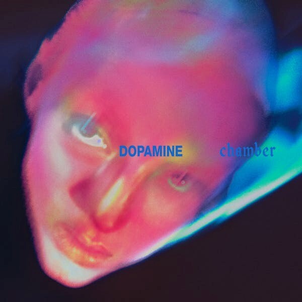 FONTAINES D.C. 'DOPAMINE CHAMBER' LP
