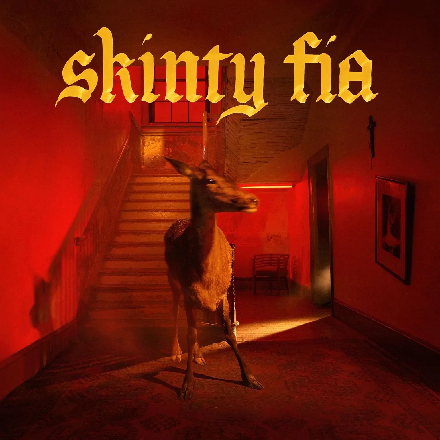 FONTAINES DC 'SKINTY FIA' LP - LTD. 750 - TRANSPARENT RED
