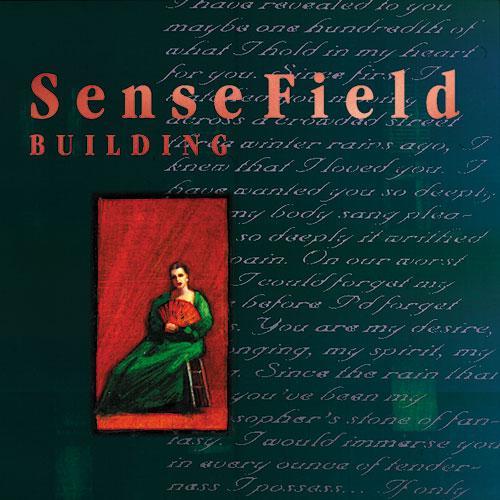 SENSE FIELD 'BUILDING' LP - COLOR