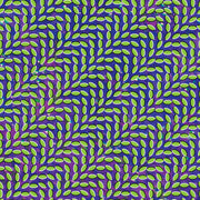 ANIMAL COLLECTIVE 'MERRIWEATHER POST PAVILION' 2LP