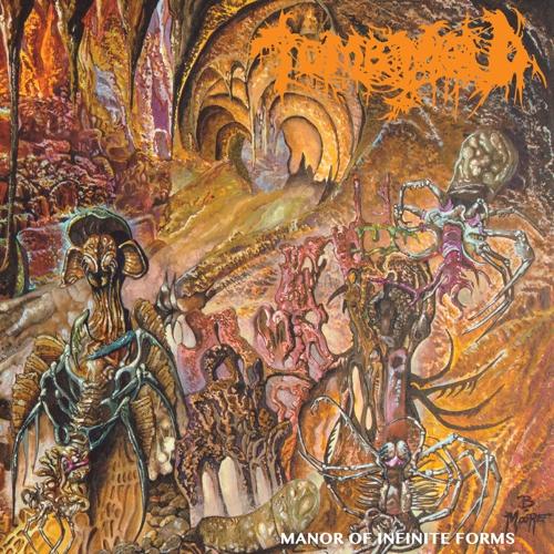 TOMB MOLD 'MANOR OF INFINITE FORMS' LP - NEON ORANGE/BLACK SMOKE
