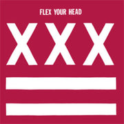 VARIOUS ARTISTS 'FLEX YOUR HEAD' LP (Legendary Dischord Records Comp: Minor Threat, More)