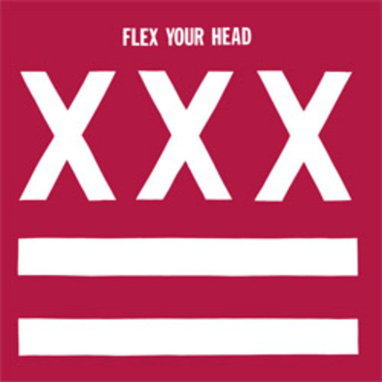 VARIOUS ARTISTS 'FLEX YOUR HEAD' LP (Legendary Dischord Records Comp: Minor Threat, More)