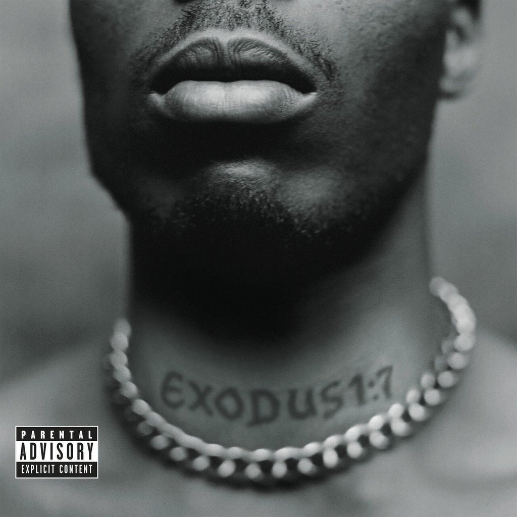 RAP VINYL BUNDLE FT. NAS, DOOM, DMX & BENNY