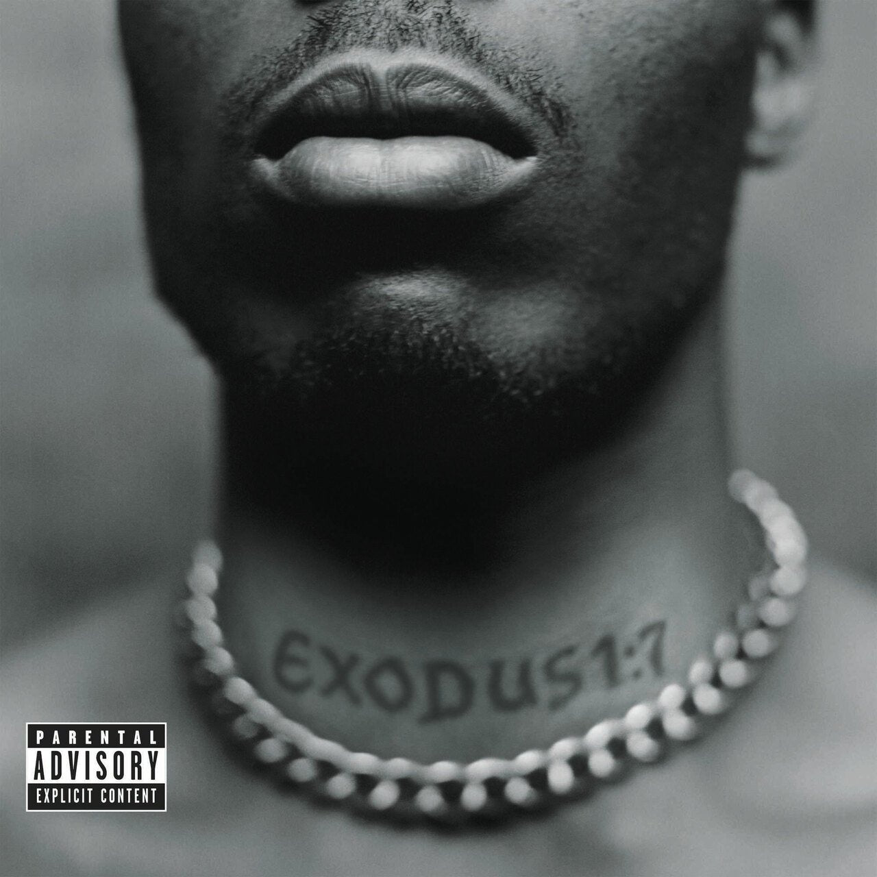 RAP VINYL BUNDLE FT. NAS, DOOM, DMX & BENNY