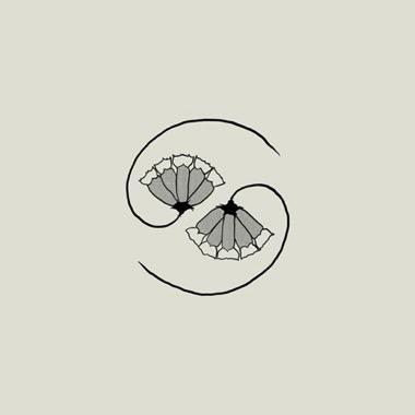 GODSPEED YOU! BLACK EMPEROR 'G_D'S PEE AT STATE'S END!' LP + 10" EP