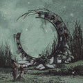 THE WORLD IS A BEAUTIFUL PLACE... 'ILLUSORY WALLS' LP - CLEAR