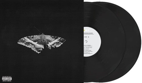 KENDRICK LAMAR 'TO PIMP A BUTTERFLY' 10TH ANNIVERSARY EDITION 2LP - ALTERNATE ARTWORK