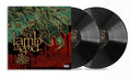 LAMB OF GOD ‘ASHES OF THE WAKE’ 20TH ANNIVERSARY 2LP - DELUXE