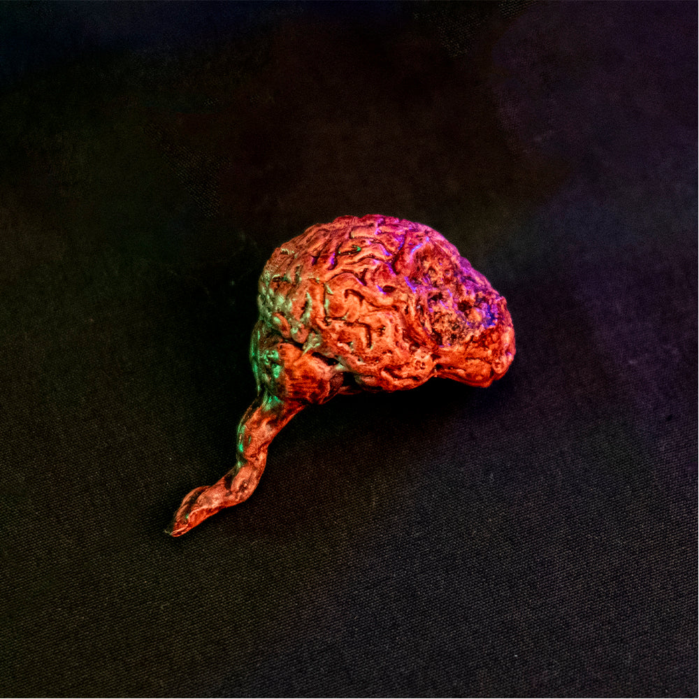 Return Of The Living Dead Tarman 1 6 Scale Brain with Background